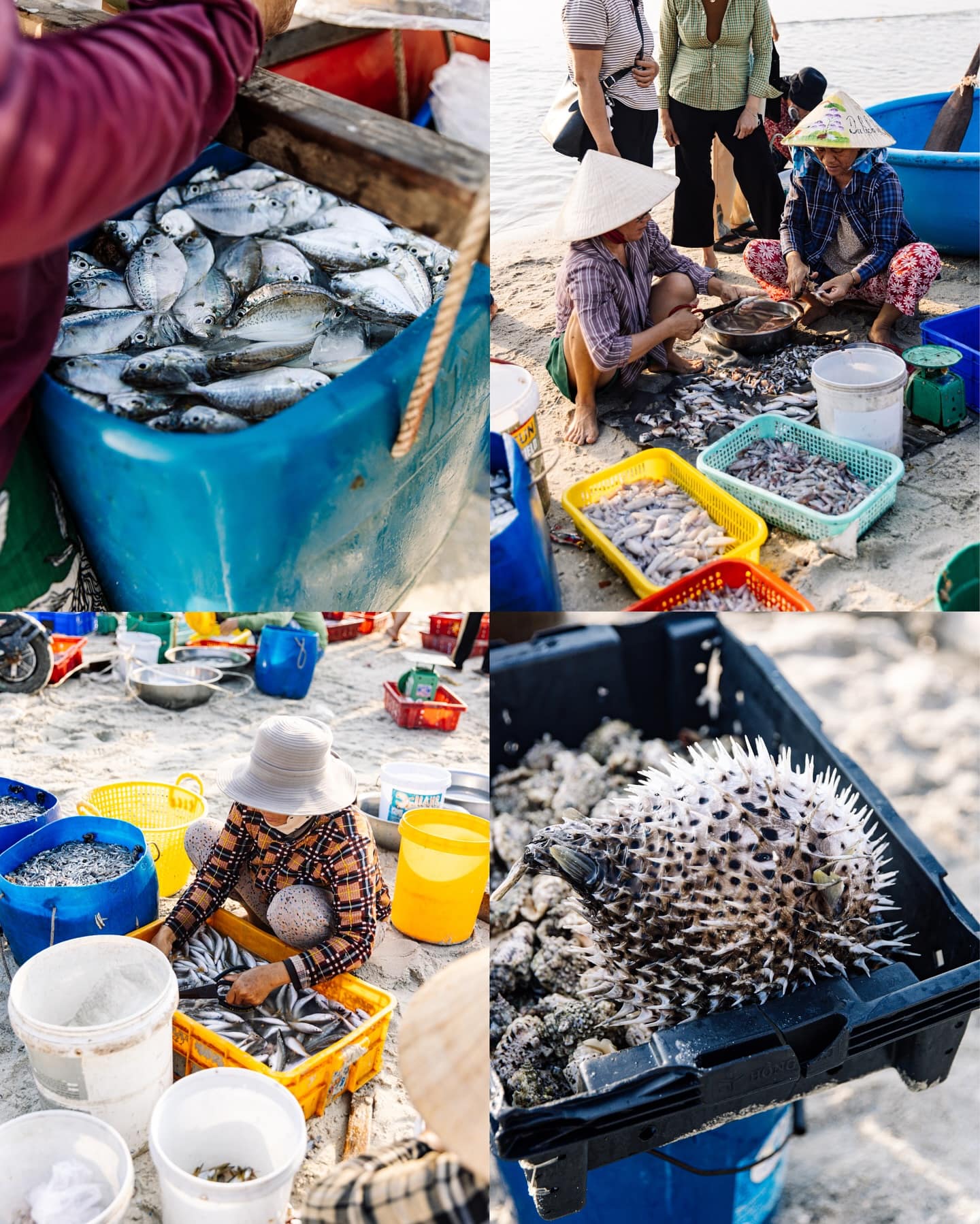 Các loại hải sản tại chợ cá làng chài Ninh Thuỷ
