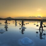 Đồng muối Hòn Khói