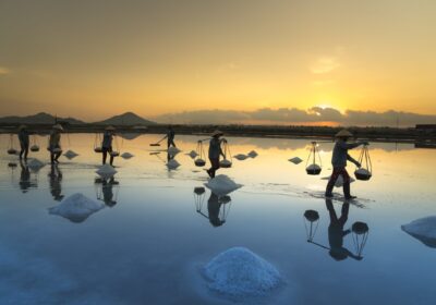 Đồng muối Hòn Khói