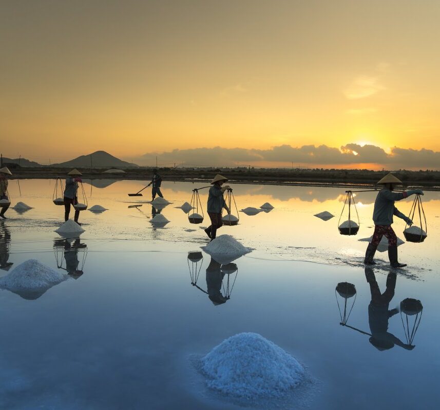 Đồng muối Hòn Khói Đồng muối Hòn Khói