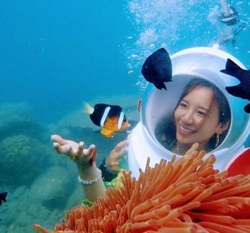 Lặn ngắm san hô tại Dốc Lết Lặn ngắm san hô tại Dốc Lết