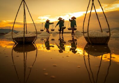 Ụ muối vàng óng trên đồng muối Hòn Khói. Ảnh: Vương Mạnh Cường - báo Khánh Hoà