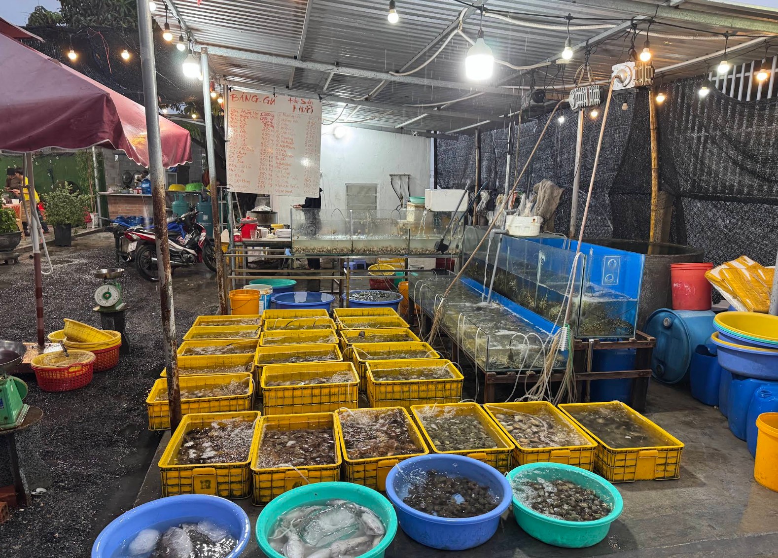Nơi chứa hải sản của Quán hải sản Mười