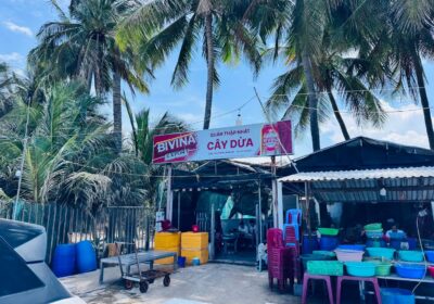 Quán cây dừa