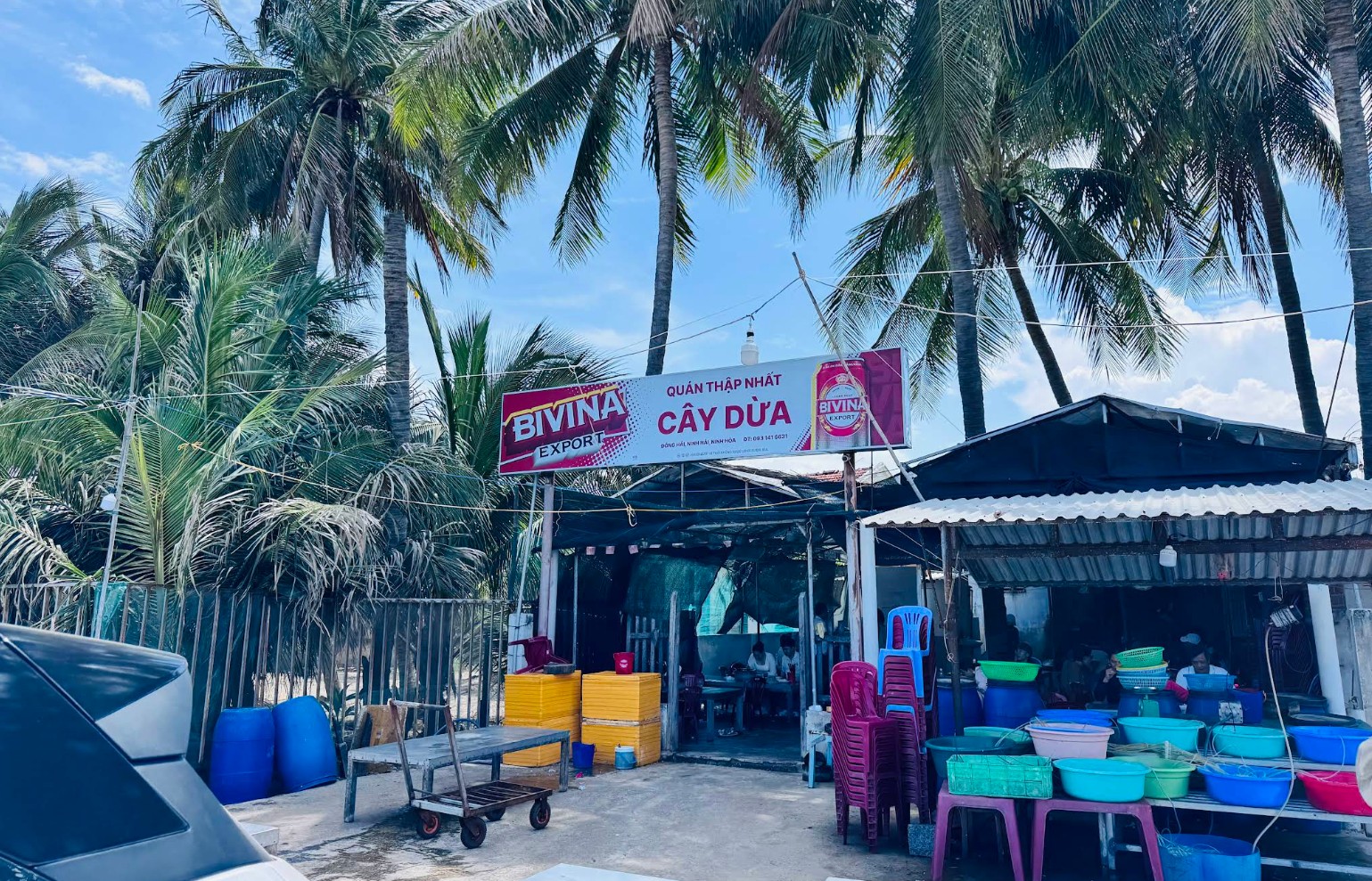 Quán cây dừa